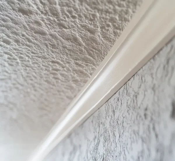 Popcorn Ceiling Removal - 3